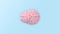 Minimal pink brain in top view on blue background