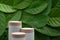 Minimal podium table top floor outdoor blurred fresh dark green leaf background.Organic herbal healthy natural product placement