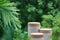 Minimal podium table top outdoors blur green leaf tropical forest plant background.beauty cosmetic healthy natural product