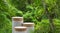 Minimal podium table top outdoors blur green leaf tropical forest plant background.beauty cosmetic healthy natural product