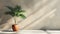 Minimal product placement background with green plant and shadow on the wall