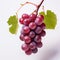 Minimal Retouched Red Grapes On Leaf: Classic Still-life With Uhd Image