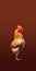 Minimal Retouched Rooster On Brown Background - National Geographic Photo