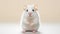 Minimal Retouched Uhd Photo Of Cute Hamster Sitting On Clean Surface