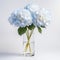 Minimal Retouched White And Blue Hydrangea Flowers In Vase