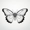 Minimal Retouching: Detailed Anatomy Of A Black And White Butterfly