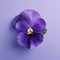 Minimal Retouching: Lifelike Purple Pansy On Solid Background