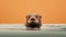 Minimal Retouching: A Playful Otter Submerged In Orange Light