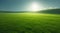 Minimal rural landscape with sunlit green meadows under blue sky, natural background. Generative AI illustration