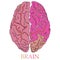 Minimal style Brain Icon Illustration