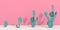 Minimal style of cactus with shade and shadow on pink wall background. Sequence of growing plant on white gravel. 3D rendering