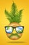 Minimal summer concept of hipster man face made of tasty donut with sunglasses, green tropical leaves palm on bright