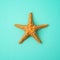 Minimal summer concept. Yellow starfish over blue background.