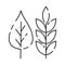 Minimal thanksgiving holiday line icons celebrating family and American heritage with items. Autumn plant leaf grain wheat