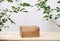 Minimal wood podium table top blurred green leaf plant on white space nature background.Beauty cosmetic natural product display