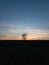 Minimalism autumn trees in the field at sunset