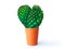Minimalism cactus heart. Prickly pear cactus in a pot.