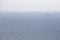 Minimalism human scale of lonely kite surfing at sea