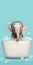 Minimalism little elephant in bathtub generative AI