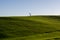 Minimalism, Lonely Tree in Field of Green