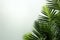 Minimalism meets nature a palm leaf banner enhances simplicity with botanical grace