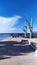 Minimalism on the waterfront. Cropped trees against the backdrop of a beautiful blue sky and ragged clouds. Bar, Montenegro.