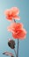 Minimalist 2d Flower Wallpaper: Delicate Realism In Light Orange And Cyan