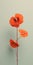 Minimalist 3d Art Illustration Of Elegant Nasturtium Flower