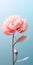 Minimalist 3d Peony Flowers Mobile Wallpaper For Distinctive And Hisense H9g