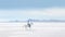 minimalist abstract illustration of a man riding a horse in open plain of white sand with ethereal dreamscapes art style,