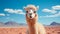 Minimalist Alpaca Portrait In Desert: Visual Puns And Bold Colorism