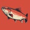Minimalist Arctic Char Illustration On Red Background