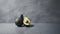 Minimalist Avocado Still Life On Polished Concrete Background