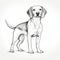 Minimalist Beagle Cartoon Illustration - Detailed Graphite Sketch Style
