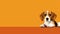 Minimalist Beagle Dog Art On Orange Background