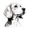Minimalist Beagle Head Illustration In Hasselblad H6d-400c Style