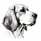 Minimalist Beagle Head Sketch - Hyper-realistic Dog Portrait Illustration