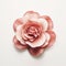 Minimalist Begonia Image With Rose On White Background