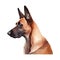 Minimalist Belgian Malinois Watercolor Painting in Soft Pastel Colors for Invitations and Posters.