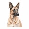 Minimalist Belgian Malinois Watercolor Painting in Soft Pastel Colors for Invitations and Posters.