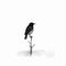 Minimalist Bird Illustration: A Black And White Masterpiece