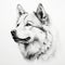 Minimalist Black Line Sketch Art Of A Husky Dog