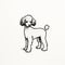 Minimalist Black Line Sketch Art Of A Poodle