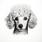 Minimalist Black Line Sketch Art Of A Poodle