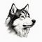 Minimalist Black Line Sketch Art Of A Siberian Husky