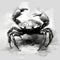 Minimalist Black And White Crab Art