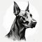 Minimalist Black And White Doberman Pinscher Head Profile Illustration