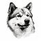 Minimalist Black And White Husky Sable Dog Head Drawing