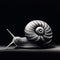 Minimalist Black And White Snail Art