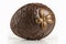 Minimalist brown Easter chocolate egg with flower detail in cream, Generative AI